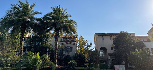 別墅防潮家裝案例 |萬業(yè).巴厘島