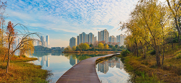 心分享 | 無懼潮濕——淞雅苑別墅項目